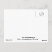 Carte Postale Flamant rose chilien (Dos)