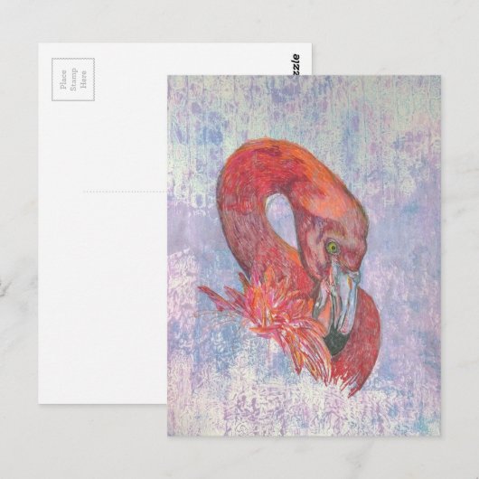 Carte Postale Flamant rose cinglant (Devant / Derrière)