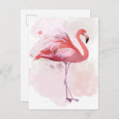 Carte Postale Flamant rose de bouffée (Devant / Derrière)