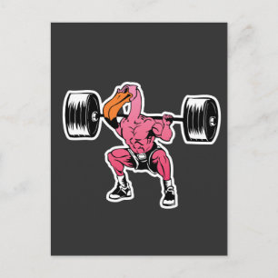 Carte Postale Flamant rose de fitness Poids Bodybuilder Muscle