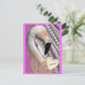 Carte Postale Flamant rose Dream (Debout devant)