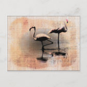 Carte Postale Flamant rose Dreams (Devant)
