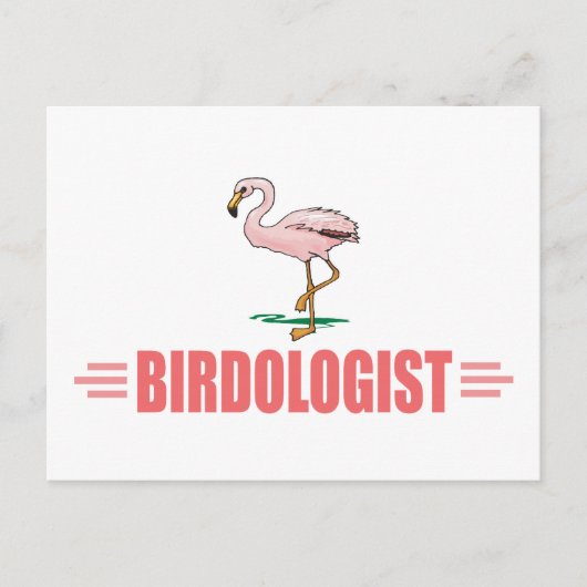 Carte Postale Flamant rose drôle (Devant)