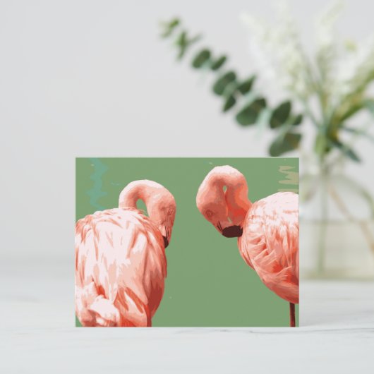 Carte Postale Flamant rose écarlate (Debout devant)