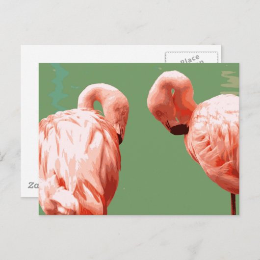 Carte Postale Flamant rose écarlate (Devant / Derrière)