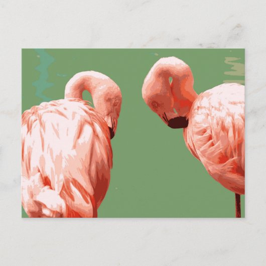 Carte Postale Flamant rose écarlate (Devant)