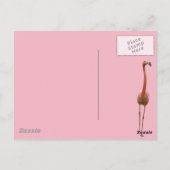 Carte Postale Flamant rose floral (Dos)