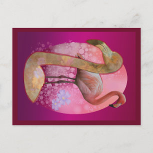 Carte Postale Flamant rose floral