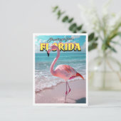 Carte postale Flamant rose Florida (Debout devant)