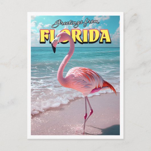 Carte postale Flamant rose Florida (Devant)