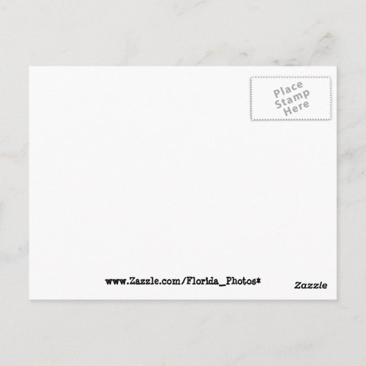 Carte Postale Flamant rose fluorescent (Dos)