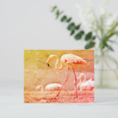Carte Postale Flamant rose marchant au sol (Debout devant)