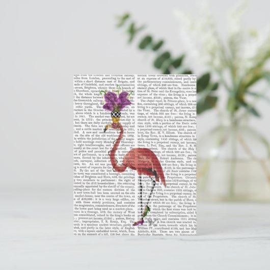 Carte Postale Flamant rose Mardi Gras Complet (Debout devant)
