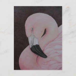 Carte postale Flamant rose original Bird Art