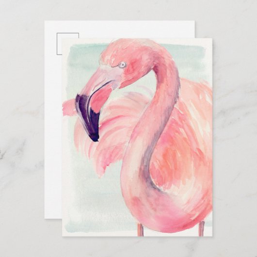 Carte Postale Flamant rose Pastel (Devant / Derrière)