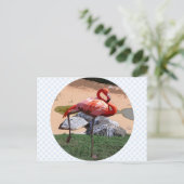 Carte Postale Flamant rose rose (Debout devant)
