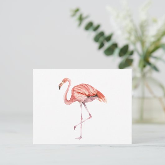 Carte Postale Flamant rose rose (Debout devant)