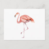 Carte Postale Flamant rose rose (Devant)