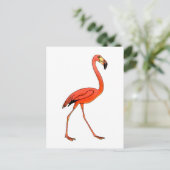 Carte Postale Flamant rose rose (Debout devant)