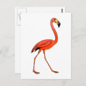 Carte Postale Flamant rose rose (Devant / Derrière)