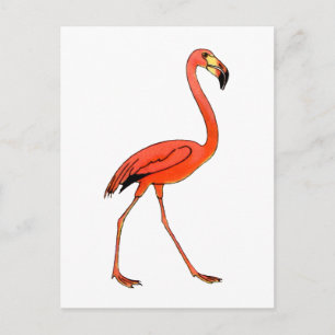 Carte Postale Flamant rose rose
