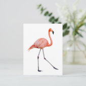 Carte Postale Flamant rose rose (Debout devant)