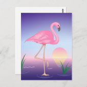 Carte Postale Flamant rose rose (Devant / Derrière)
