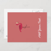 Carte Postale Flamant rose rose (Devant / Derrière)
