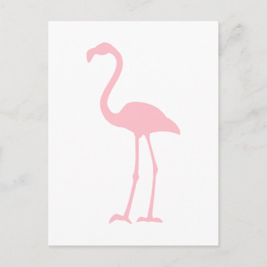 Carte Postale Flamant rose rose (Devant)