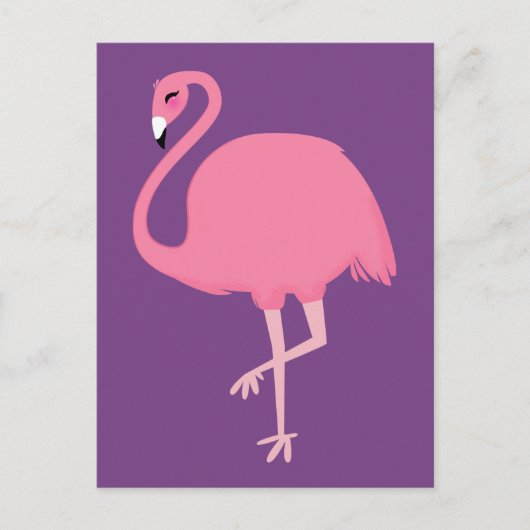 Carte postale Flamant rose rose (Devant)