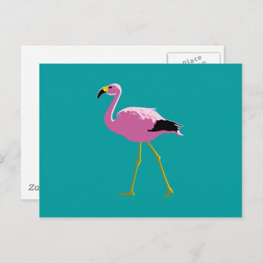 Carte Postale Flamant rose rose (Devant / Derrière)