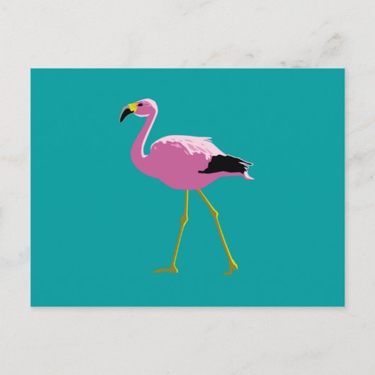 Carte Postale Flamant rose rose (Devant)