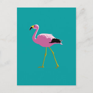 Carte Postale Flamant rose rose