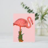 Carte Postale Flamant rose rose (Debout devant)