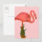 Carte Postale Flamant rose rose (Devant / Derrière)