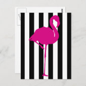 Carte Postale Flamant rose rose chaud sur bandes noir et blanc (Devant / Derrière)
