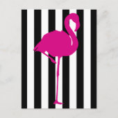 Carte Postale Flamant rose rose chaud sur bandes noir et blanc (Devant)