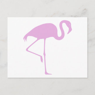 Carte Postale Flamant rose rose classique