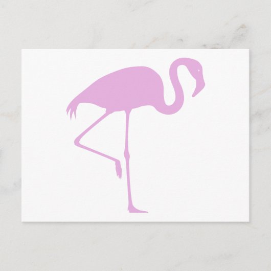 Carte Postale Flamant rose rose classique (Devant)