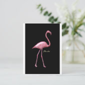 Carte Postale Flamant rose rose de Floride (Debout devant)