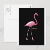 Carte Postale Flamant rose rose de Floride (Devant / Derrière)