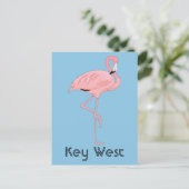 Carte Postale Flamant rose rose Key West Florida (Debout devant)