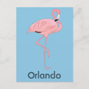 Carte Postale Flamant rose rose Orlando Florida