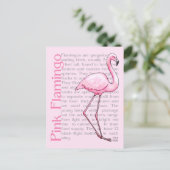 Carte Postale Flamant rose rose Sur Texte (Debout devant)