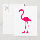 Carte Postale Flamant rose rose vif (Devant / Derrière)