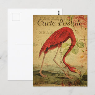 Carte Postale Flamant rose rose vintage
