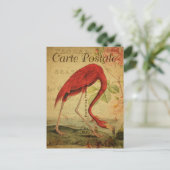 Carte Postale Flamant rose rose vintage (Debout devant)
