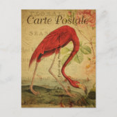 Carte Postale Flamant rose rose vintage (Devant)