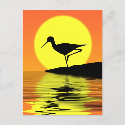 Carte postale Flamant rose Sunset (Devant)