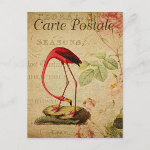 Carte Postale Flamant rose vintage Rose Roses Floral Français
